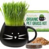 pot chat herbe bio